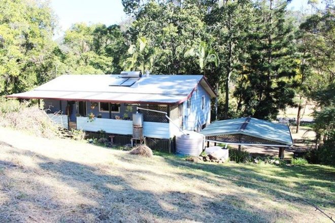 Picture of 2188 Nimbin Road, COFFEE CAMP NSW 2480