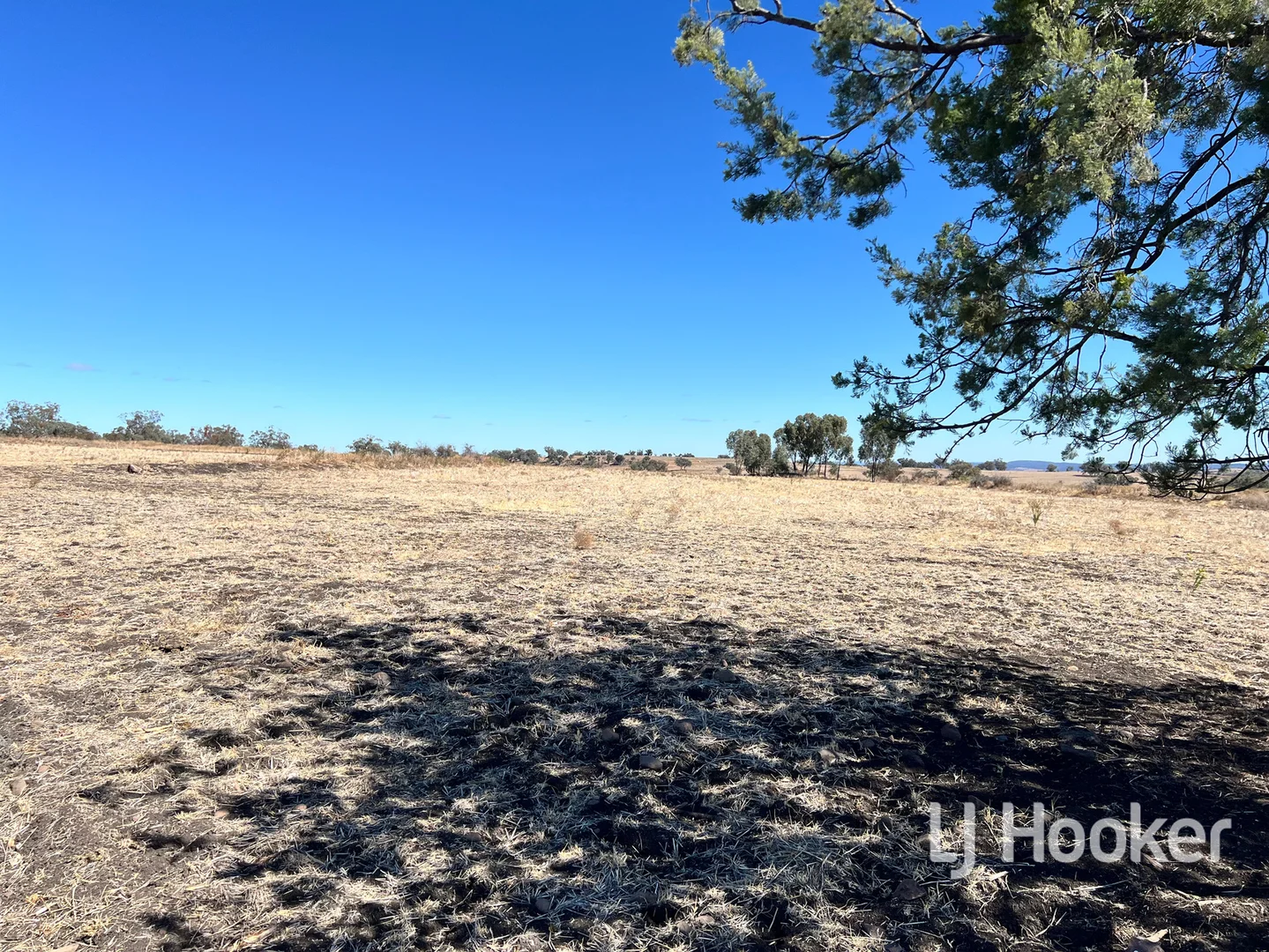 Additional image 7 of 154 Leaders Lane, Inverell NSW 2360