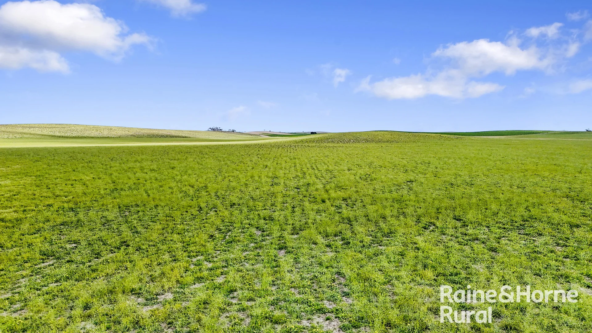 Image 29