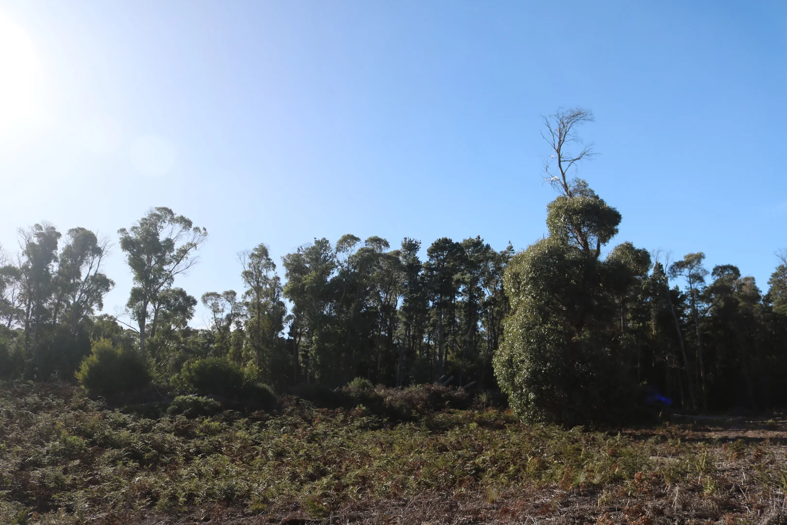 Image 39