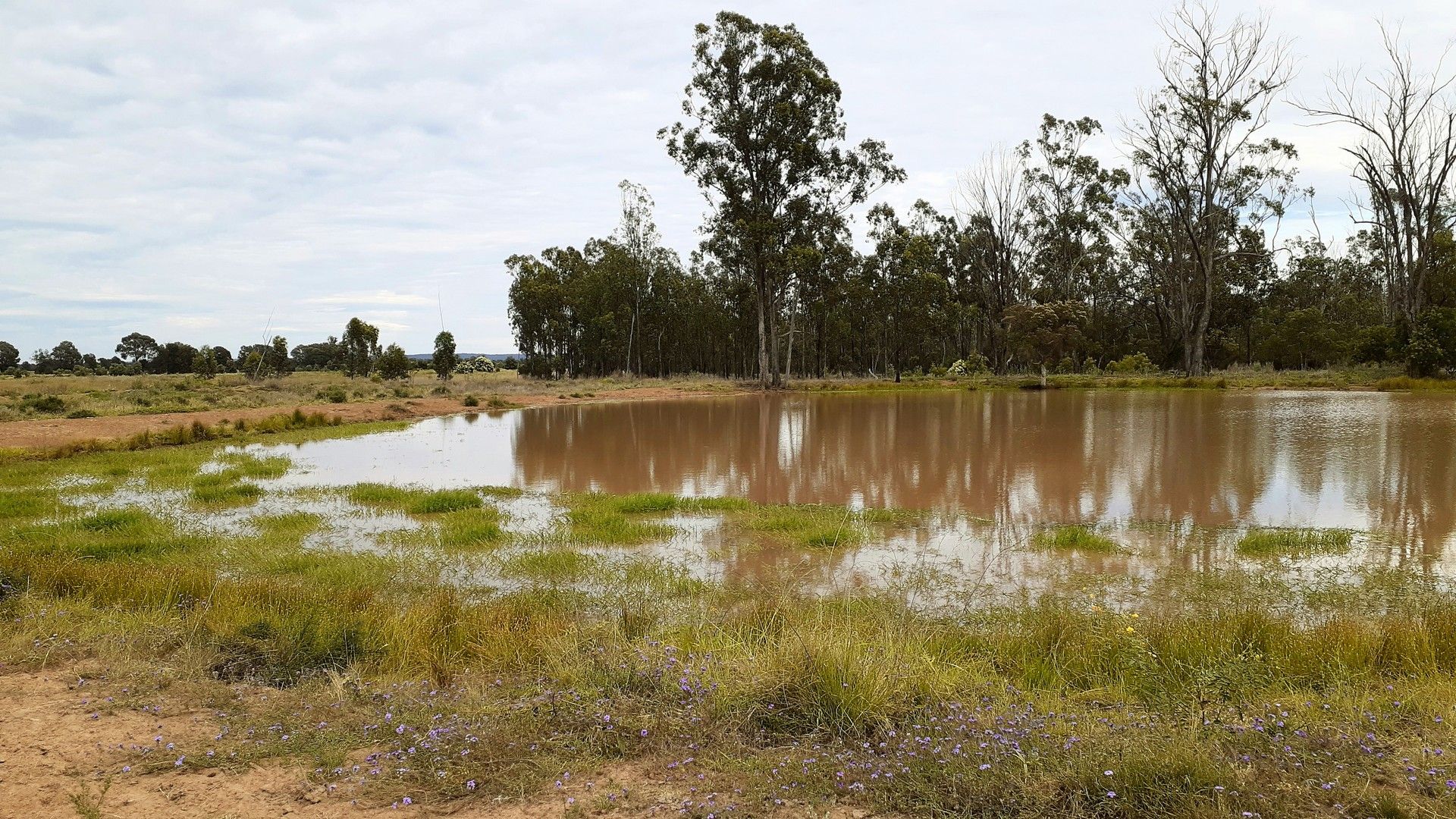 647 Smiths Road, Darr Creek QLD 4410 House for Sale Domain