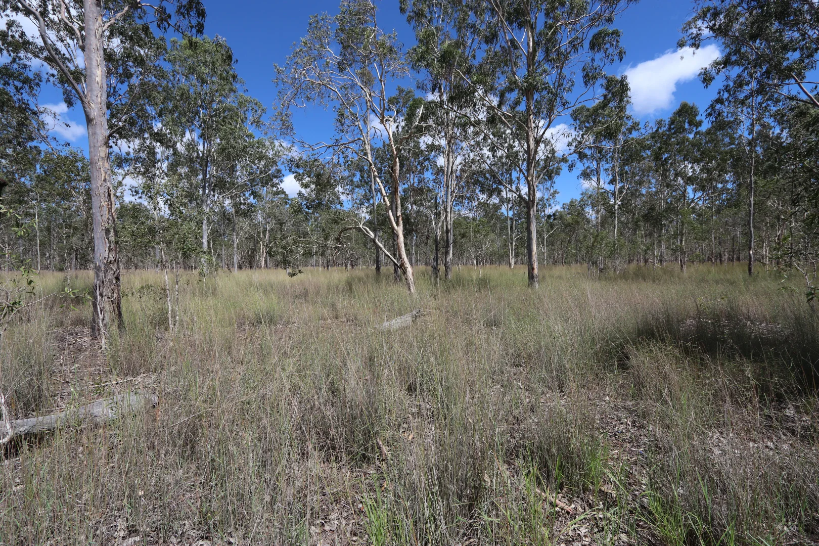 Image 14