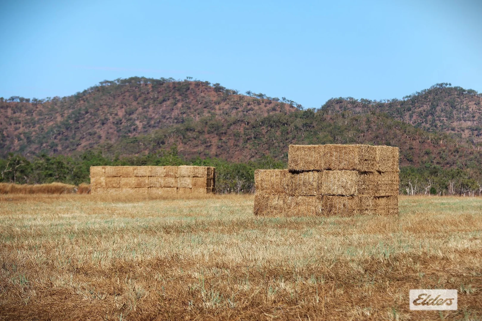 Image 15
