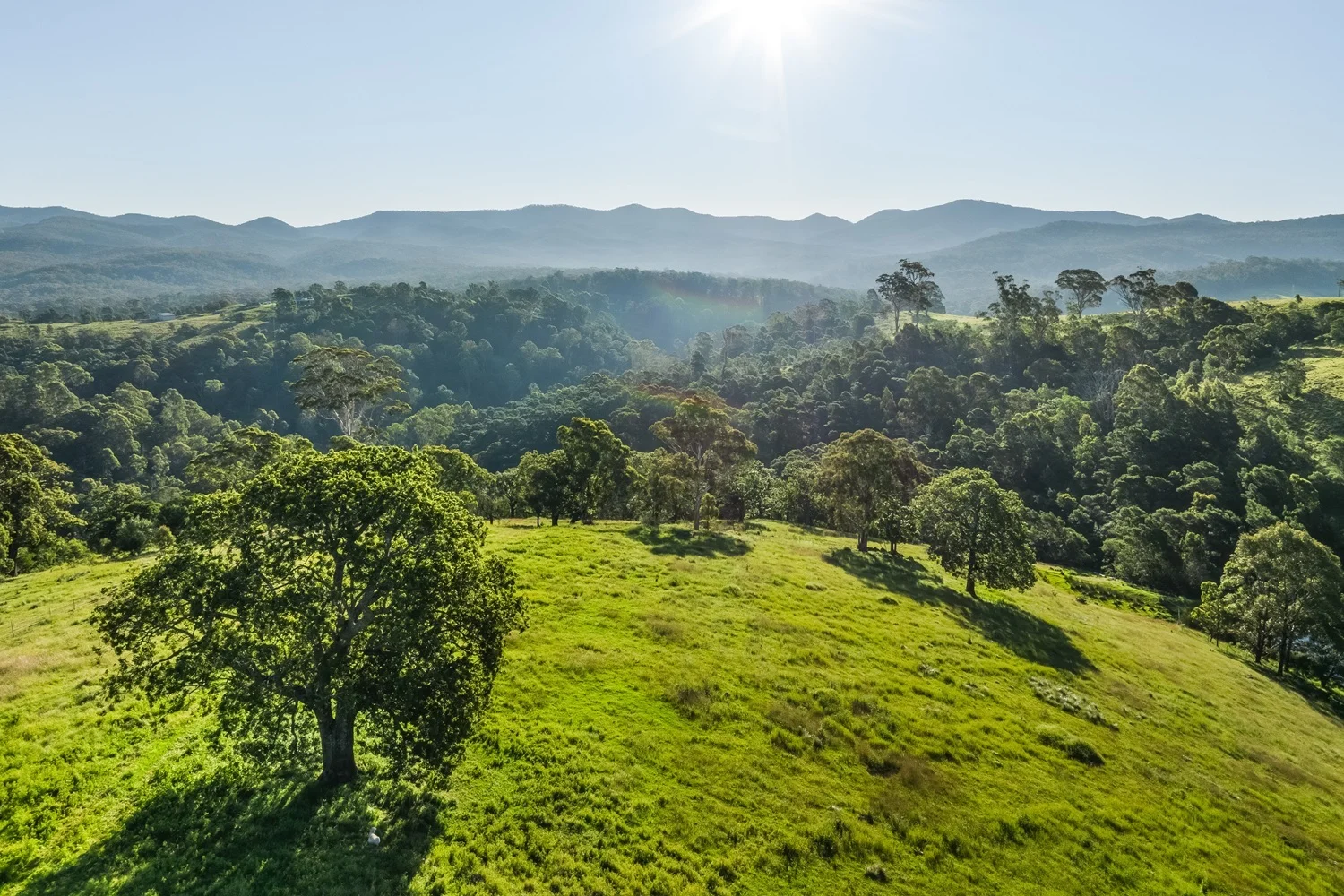 Additional image 2 of 50 Omaru Lane, Bald Hills NSW 2549