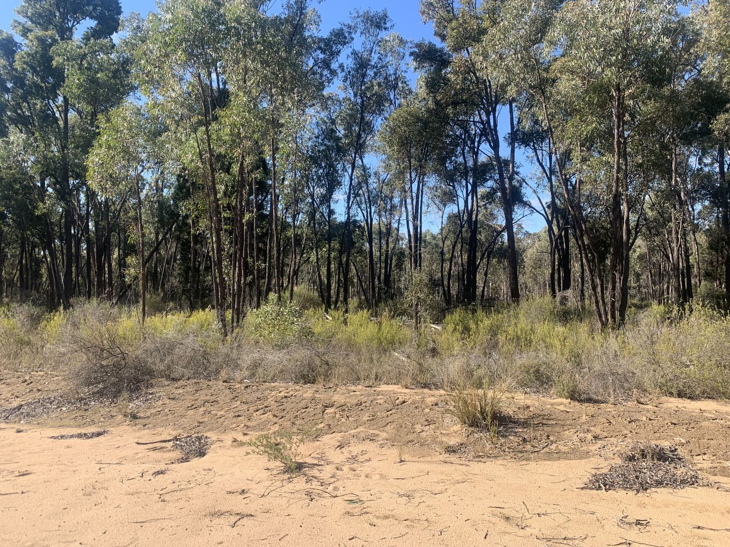 1110 Mancers Lane, Binnaway Property History & Address Research Domain