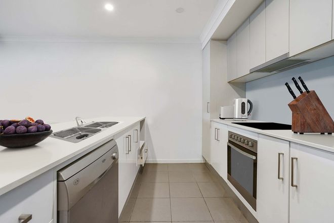 1/1 Bottle Brush Circuit COOMERA 4209 - Image 4