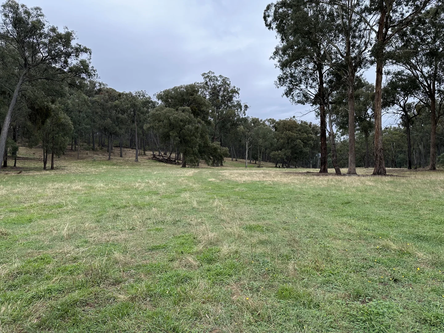 Additional image 21 of 880 Lima East Road, Lima East VIC 3673