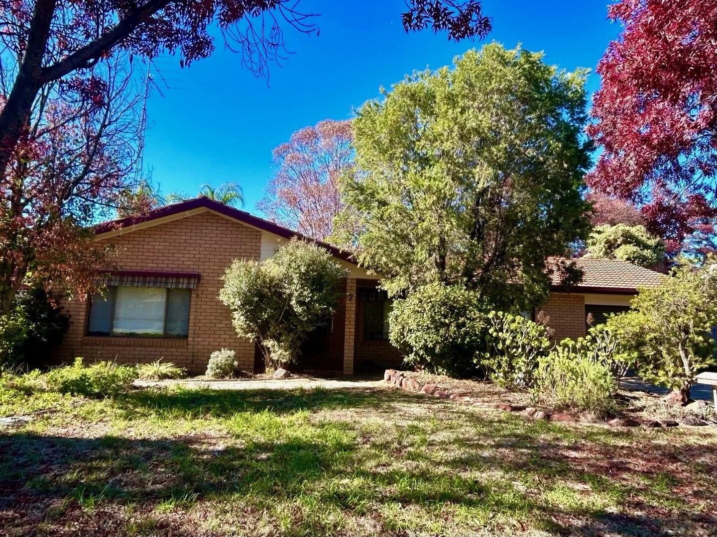 7 Japonica Place, Narrandera NSW 2700 House For Rent 350 Domain