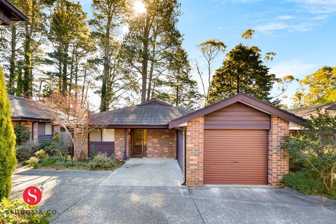 Picture of 2/57-59 Falls Road, WENTWORTH FALLS NSW 2782