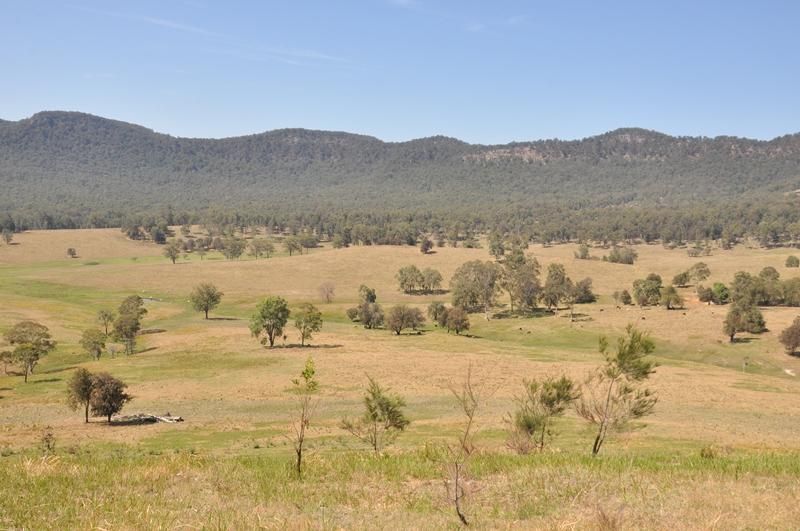 Lot 16 Barraba Lane, QUORROBOLONG NSW 2325, Image 0