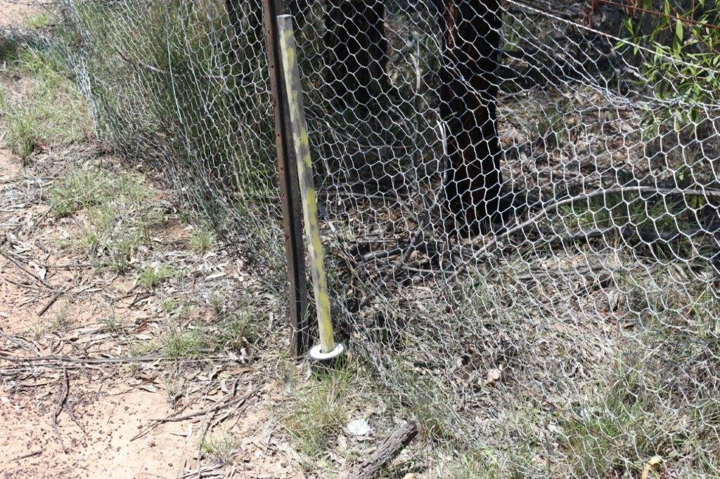 Additional image 6 of Tara QLD 4421