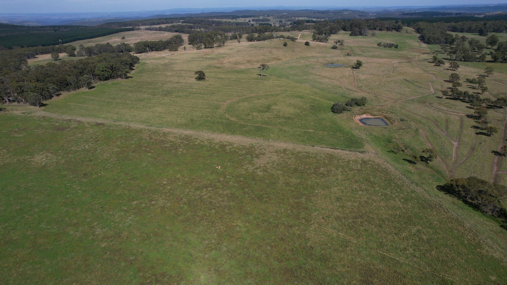 5186 Abercrombie Road, Porters Retreat NSW 2787 House for Sale
