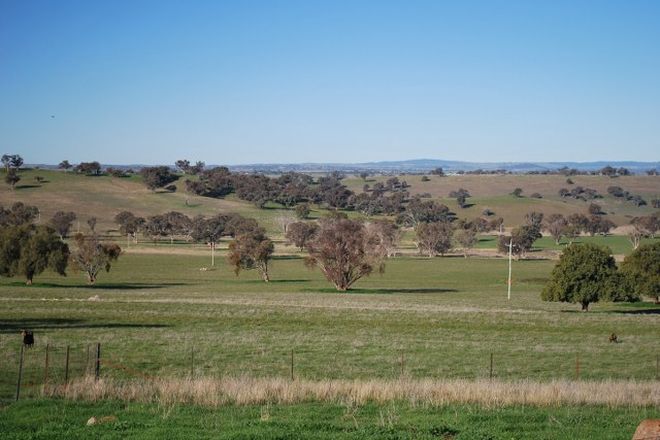 Picture of LARRAS LEE NSW 2866