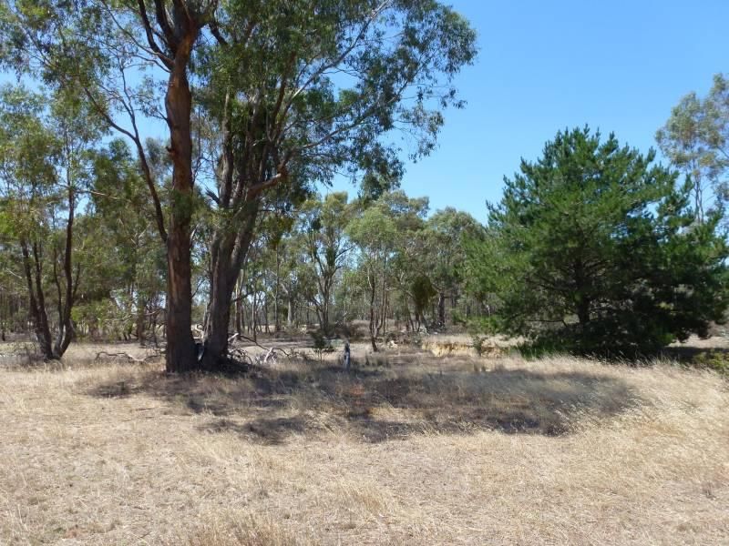 ca 88J Lexton-Talbot Road, Evansford VIC 3371, Image 0