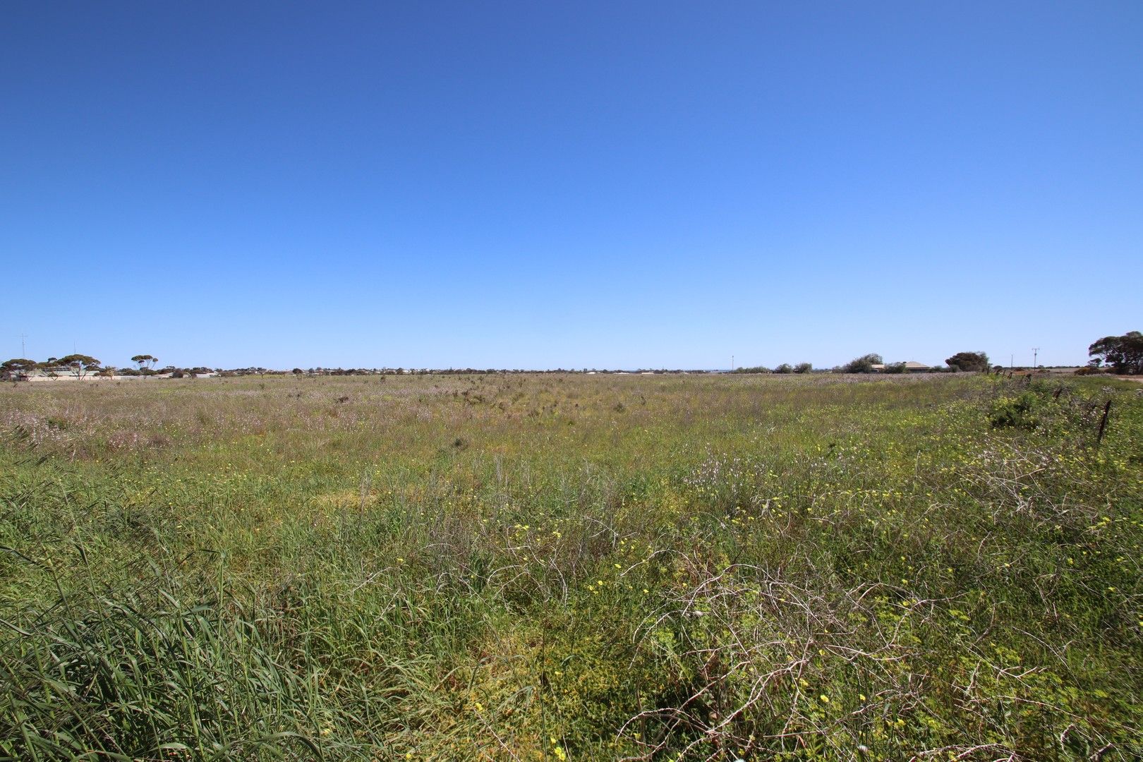 Lot 2 Corner Haylock/Hills Road, North Moonta SA 5558, Image 0