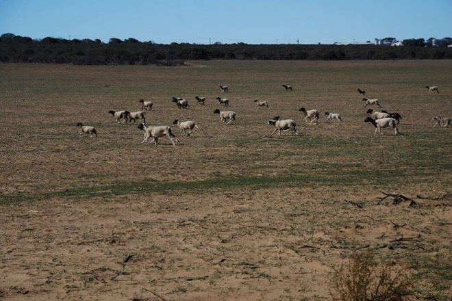 Picture of KALBARRI WA 6536