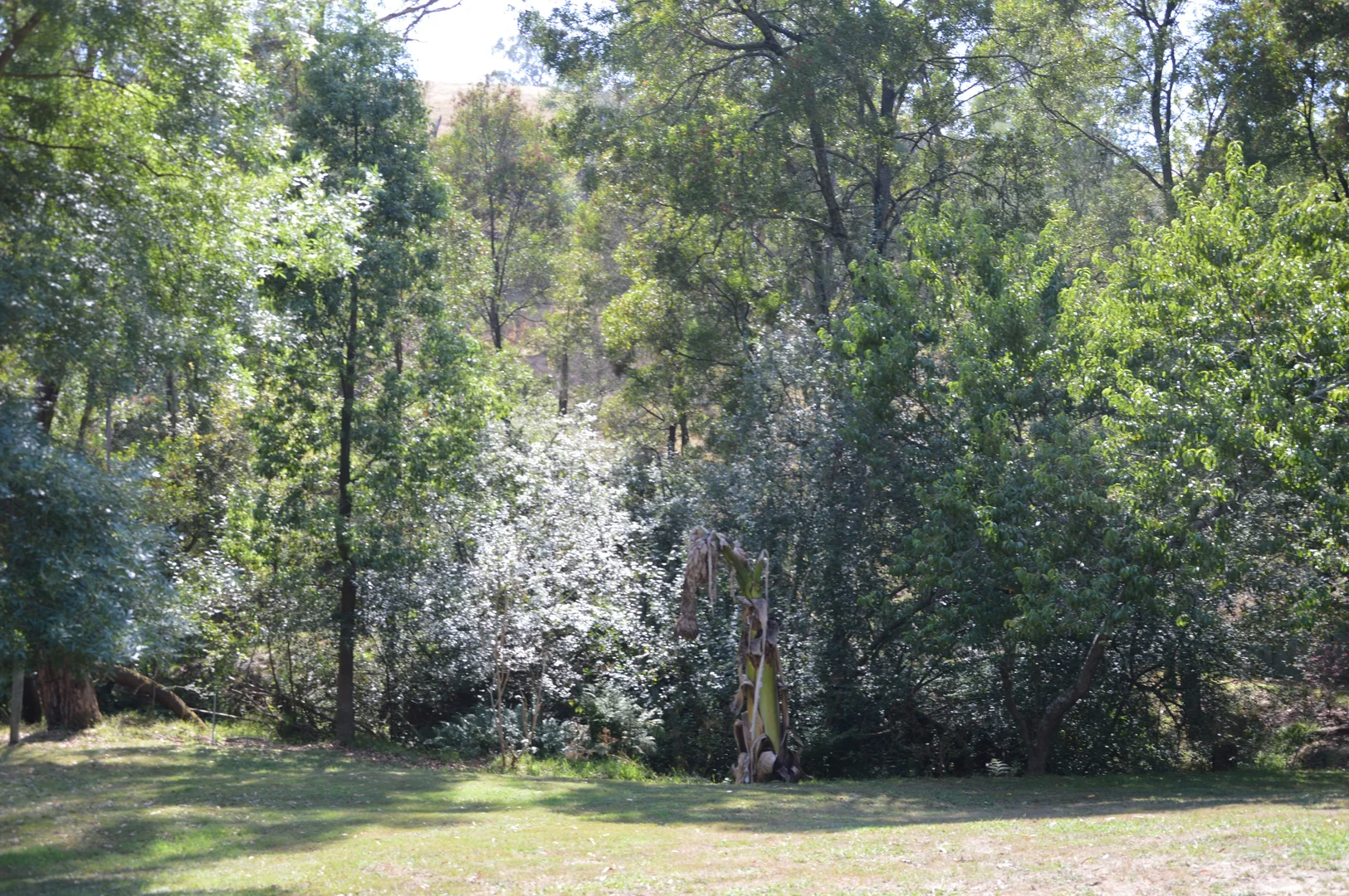 Additional image 10 of 790 Soldiers Road, Poowong VIC 3988