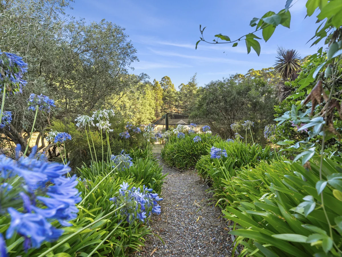 Additional image 18 of 351 Sheffield Road, Acacia Hills TAS 7306