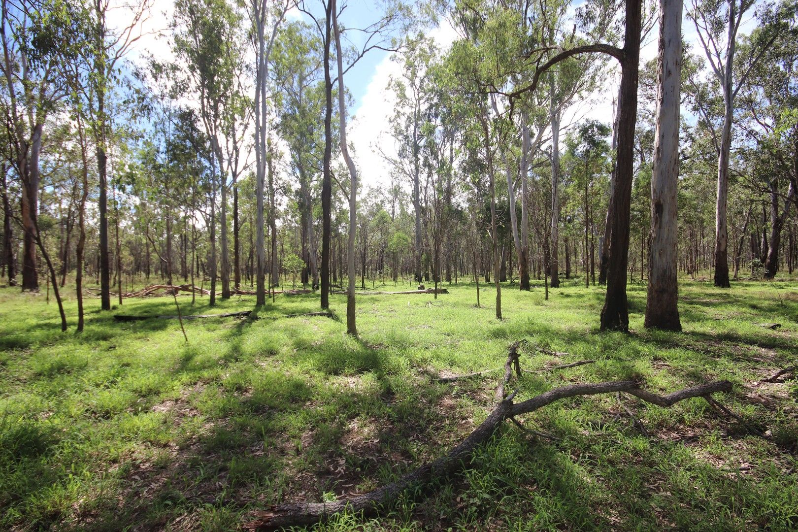 Allies Creek Road, Monogorilby QLD 4626, Image 0