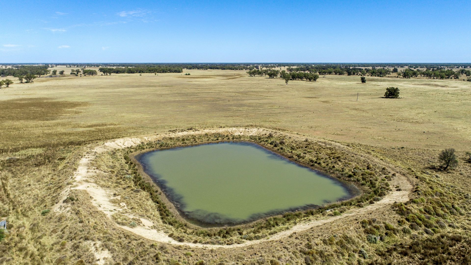 12040 Pilliga Road, Coonamble NSW 2829, Image 1