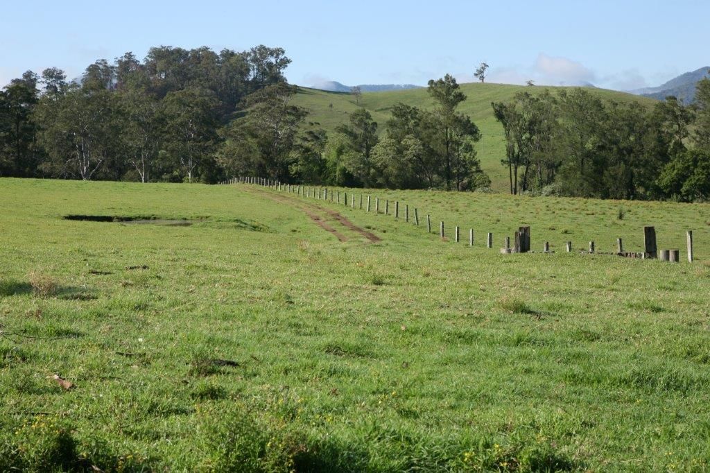 Thone River Road, Byabarra NSW 2446, Image 1