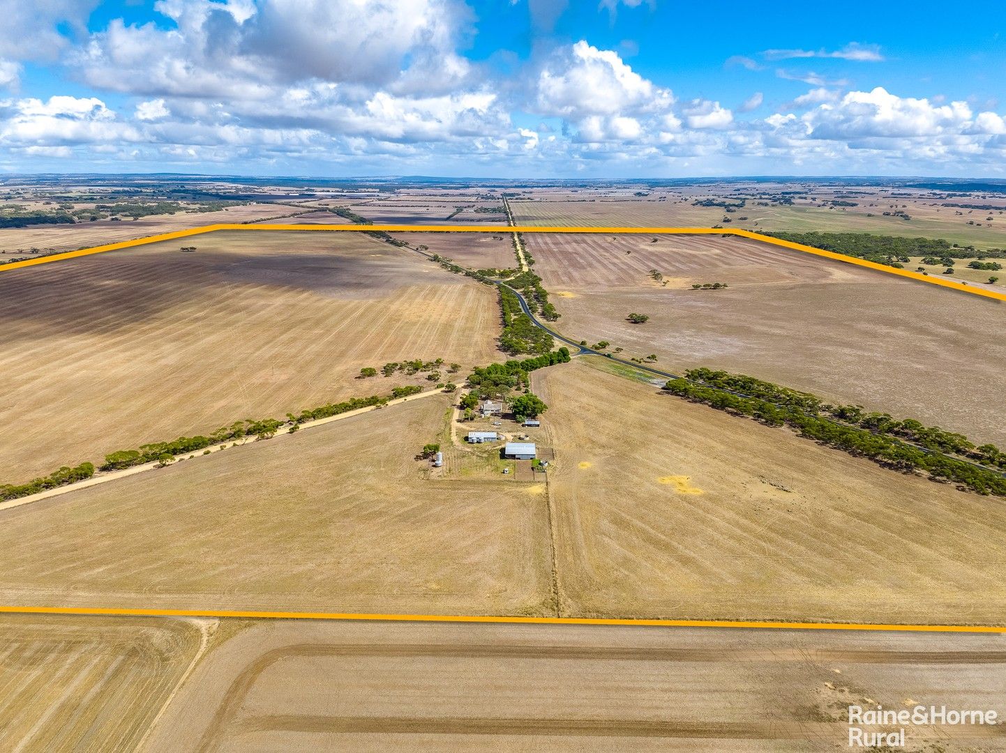 18 Pascoe Road, Coonalpyn SA 5265 Specialist Farm for Sale Domain
