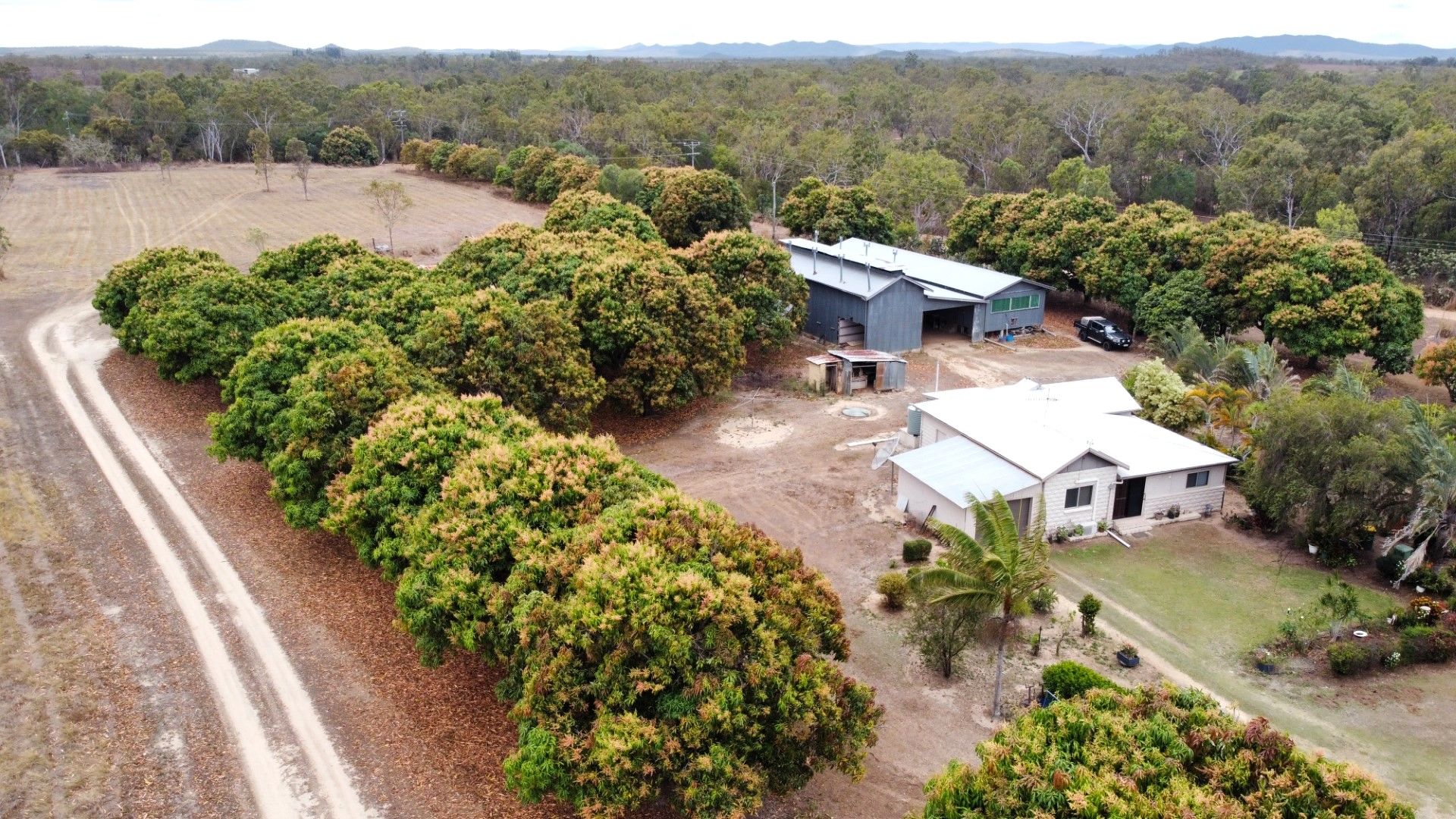 65 Raleigh Street, Dimbulah QLD 4872 House for Sale Domain