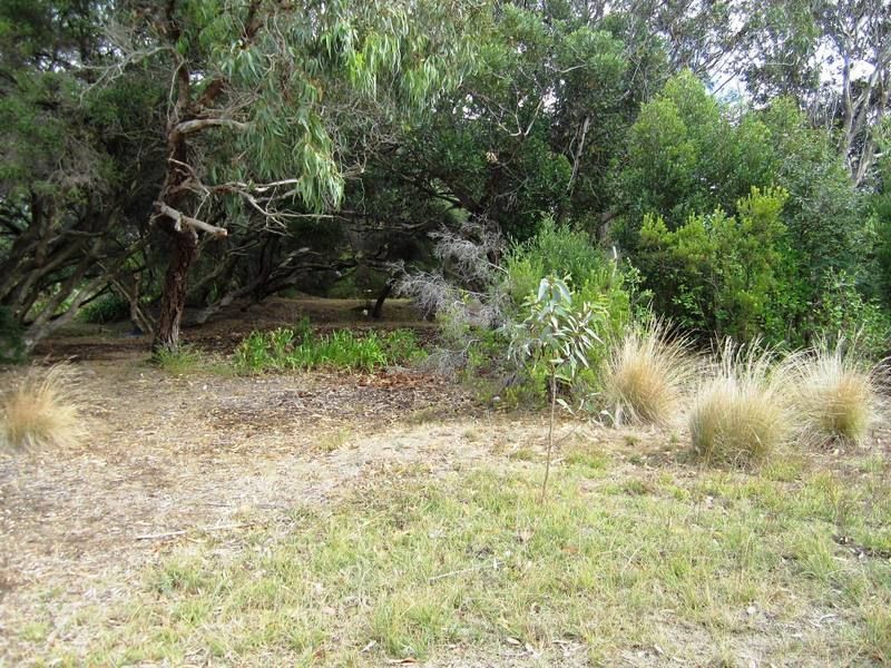 87 Seventh Avenue, ANGLESEA VIC 3230, Image 2