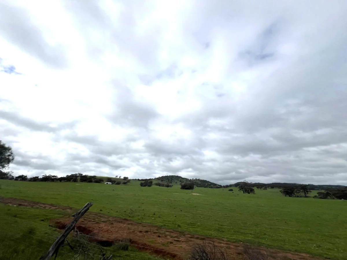 Image 10