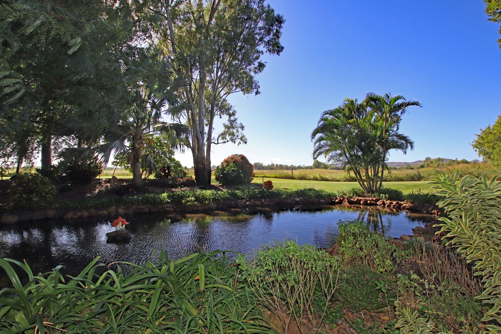 Calvale Road, Valentine Plains QLD 4715, Image 1