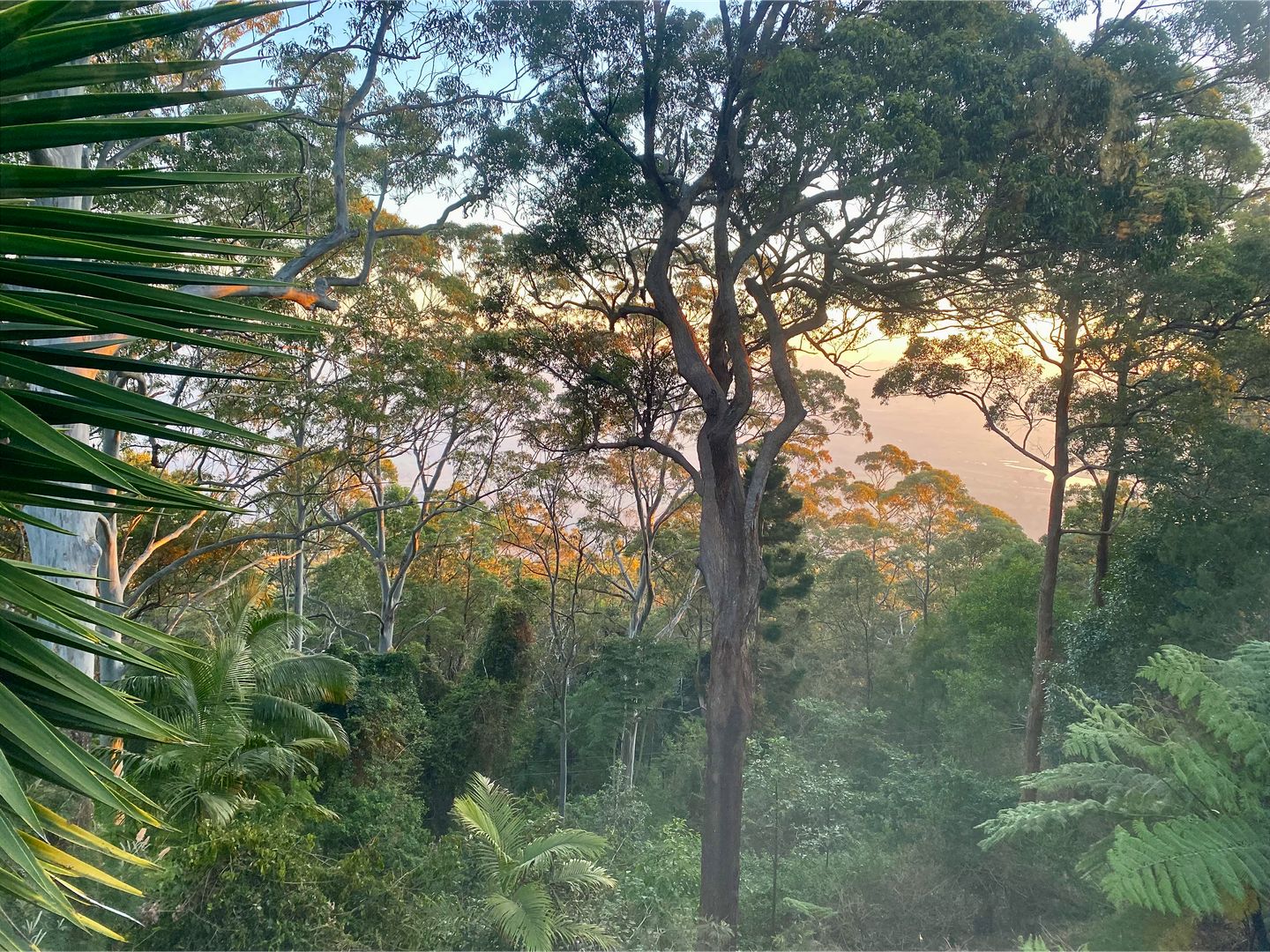 1 bedrooms Apartment / Unit / Flat in Beacon Road TAMBORINE MOUNTAIN QLD, 4272