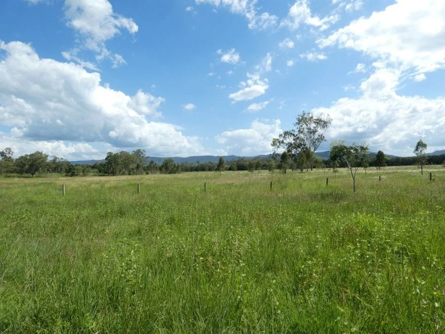 Image 32