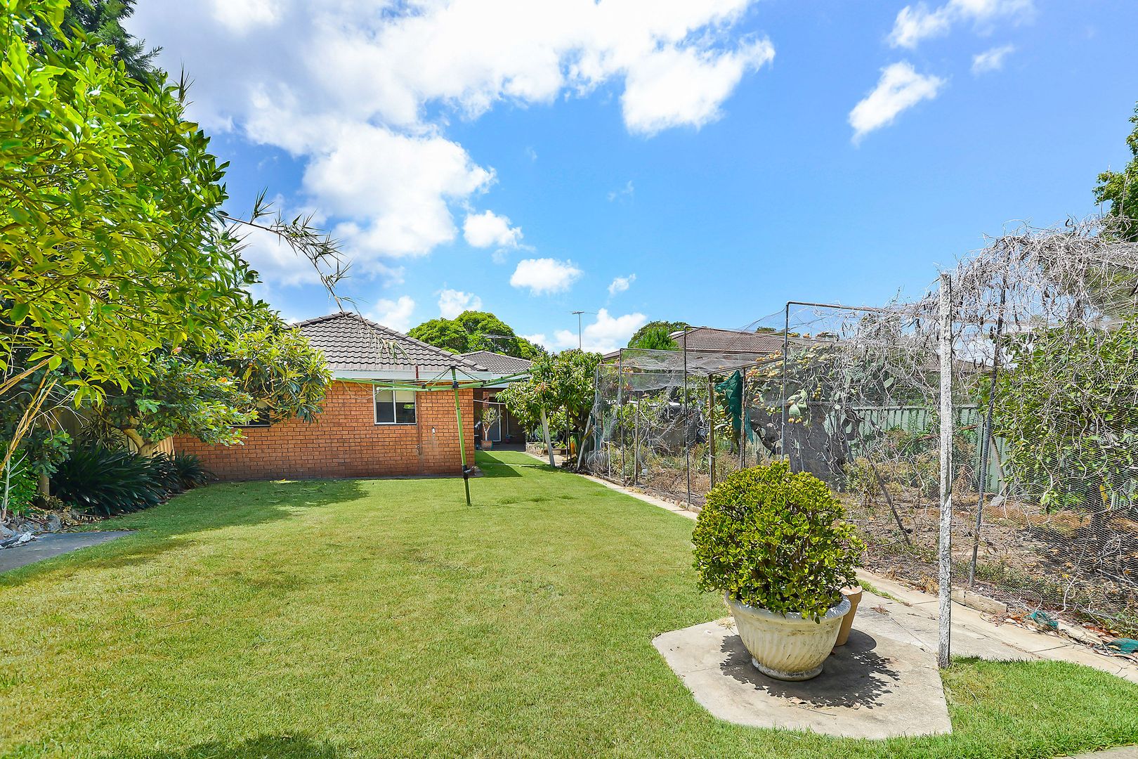 72 Consett Street, Concord West NSW 2138, Image 1