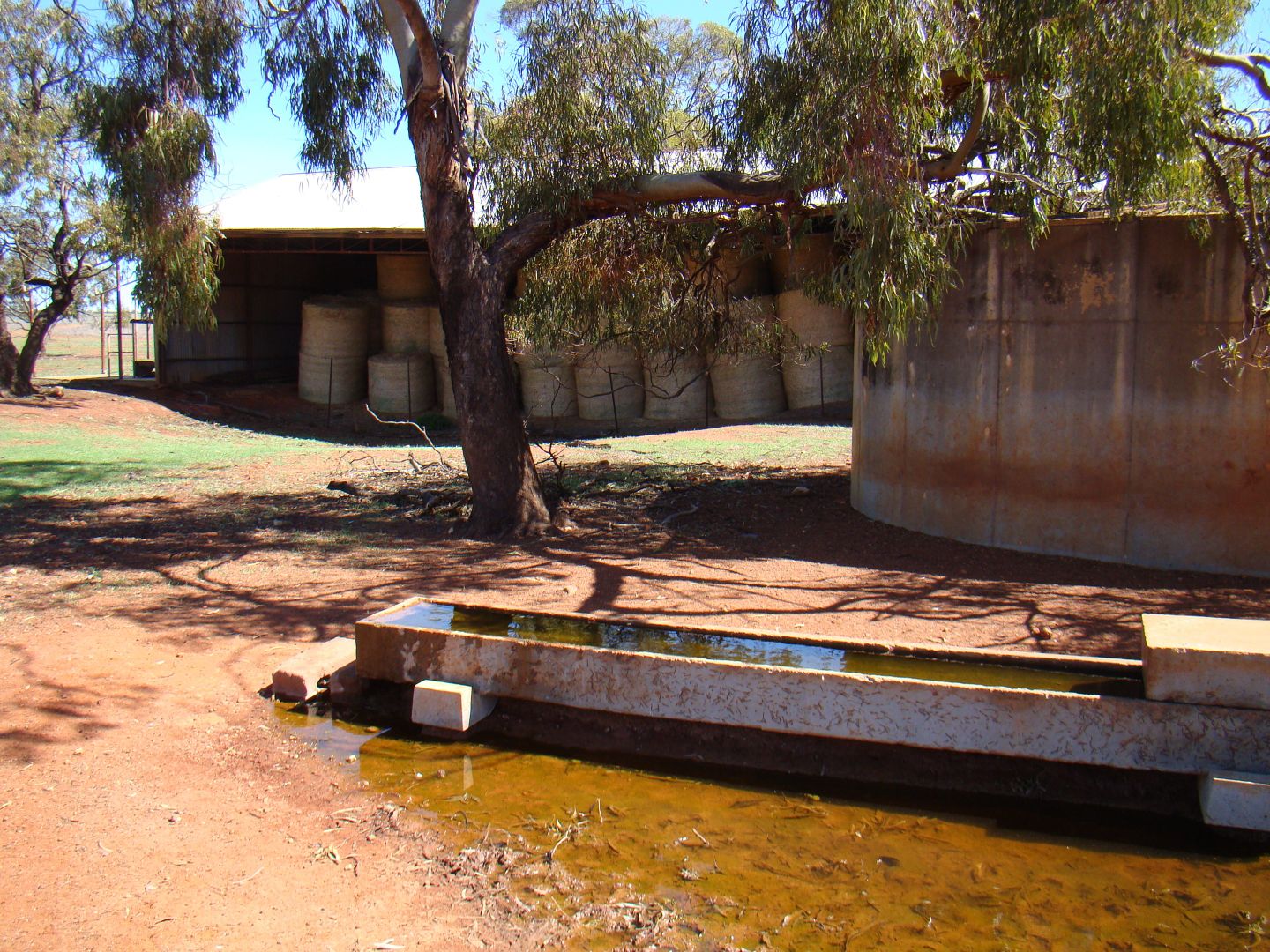 Combined Lots GRANDVIEW AND HARMANS FARMS, Morawa WA 6623, Image 1