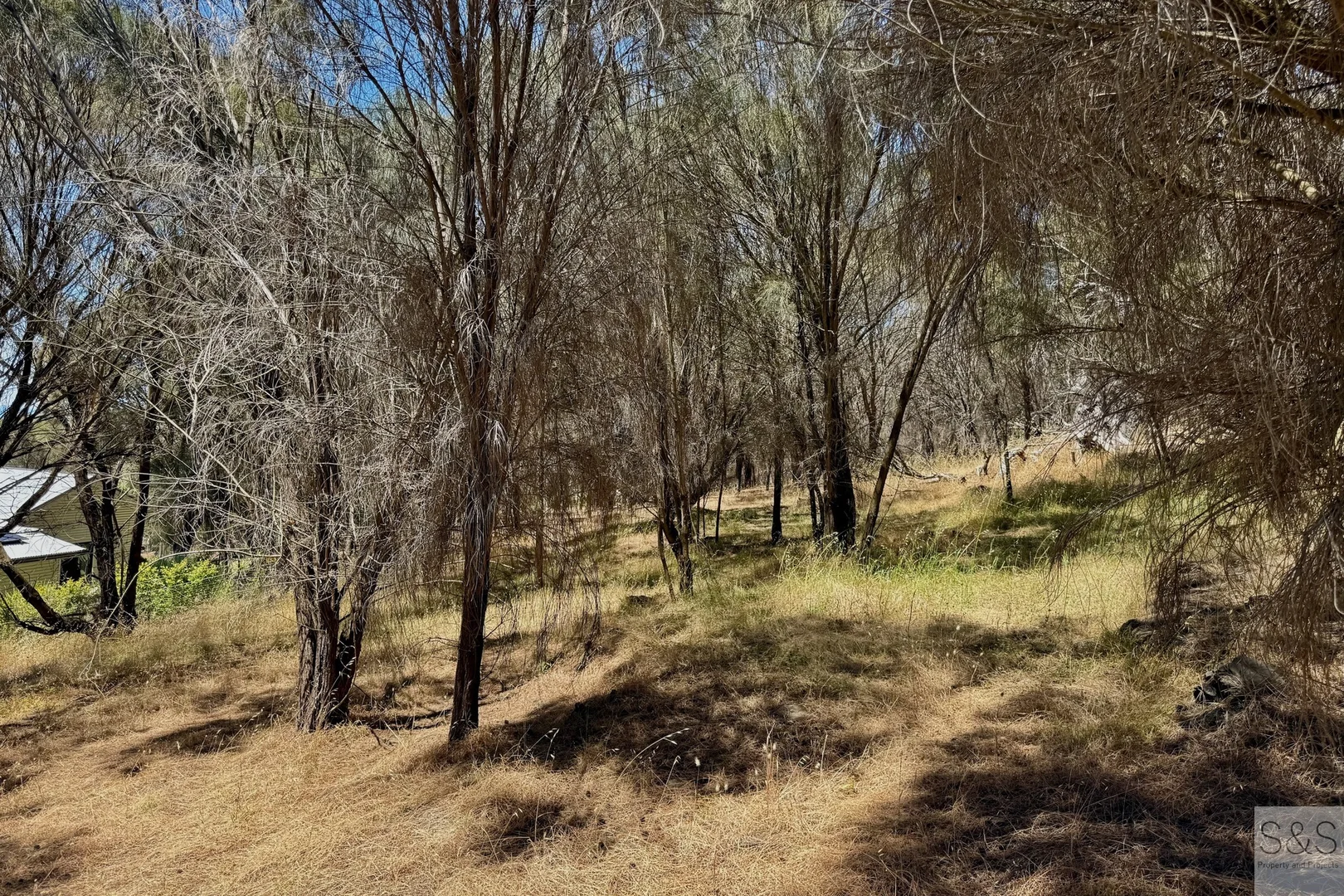 Image 8