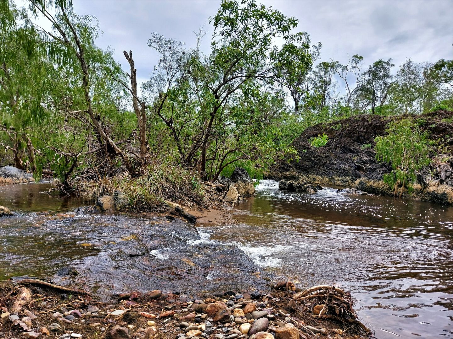 16 Peninsula Development Road, Lakeland QLD 4871, Image 1