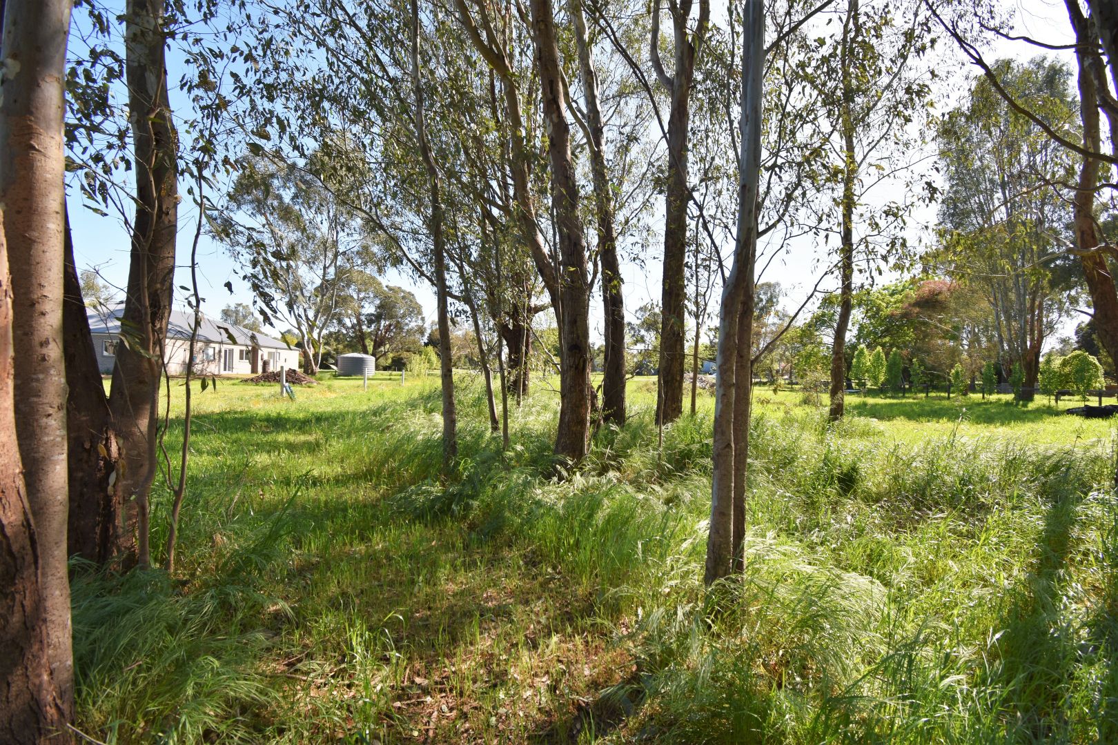 2, 33 Ely Street, Oxley VIC 3678, Image 2