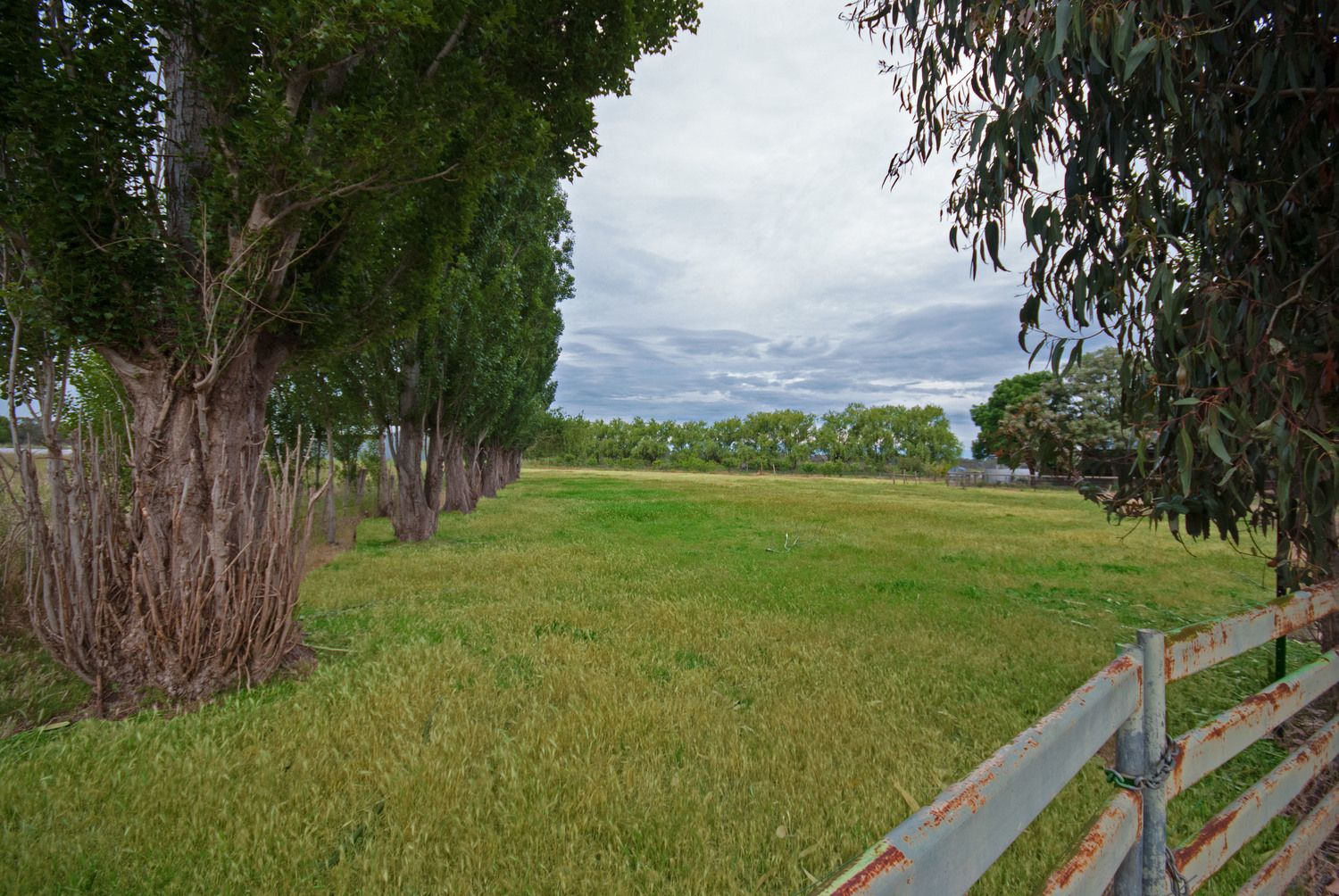 205 Arcadia Road, Arcadia VIC 3631, Image 2