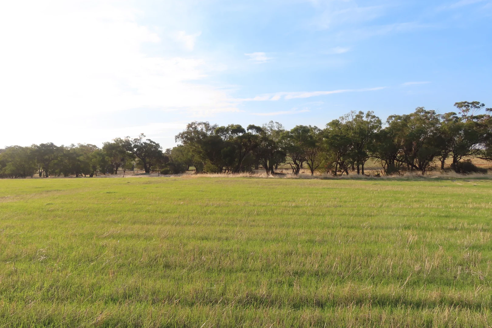 Additional image 3 of Lot 14 Barndon Street, Spencers Brook WA 6401