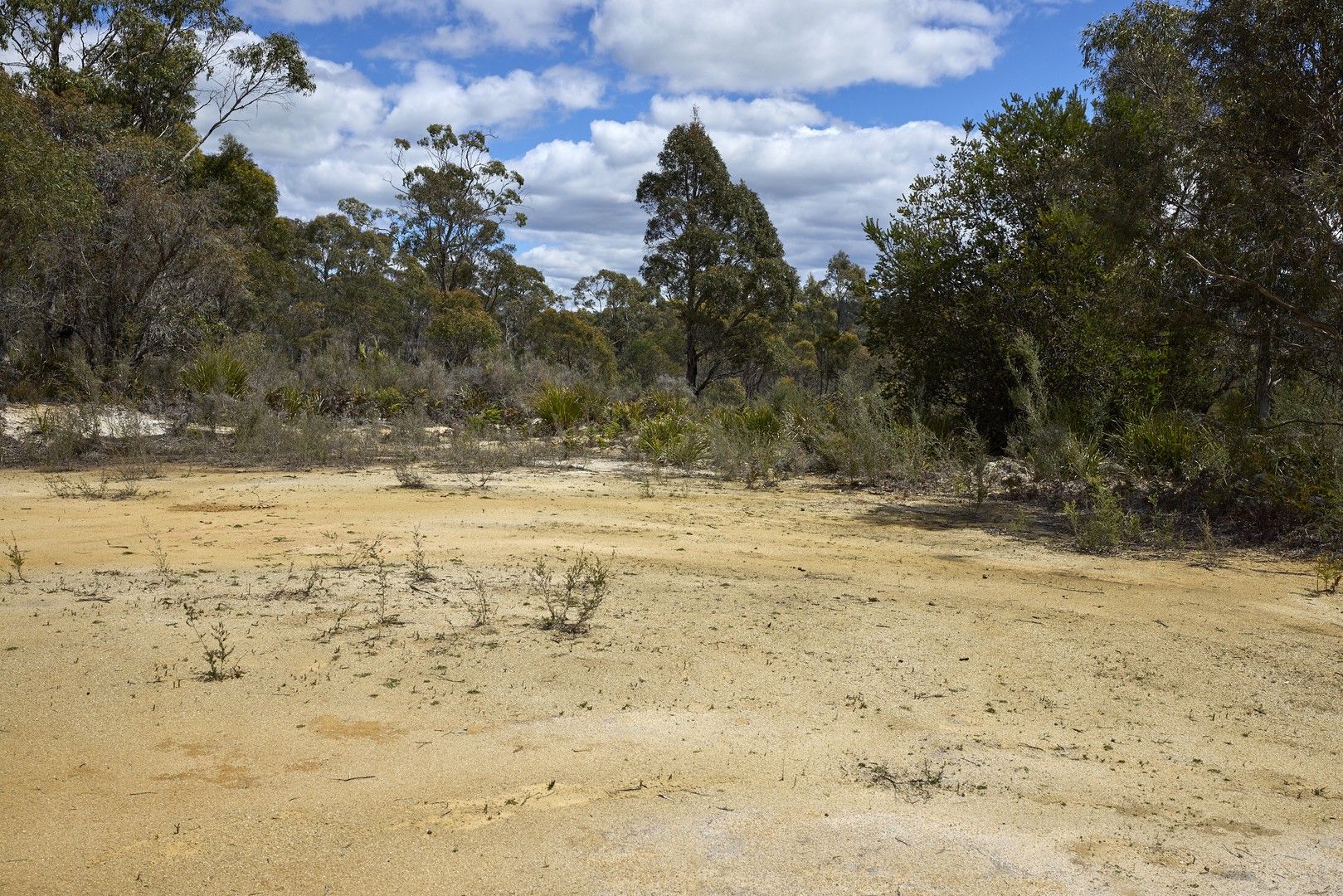 Old Water House Road, North Scottsdale TAS 7260, Image 2