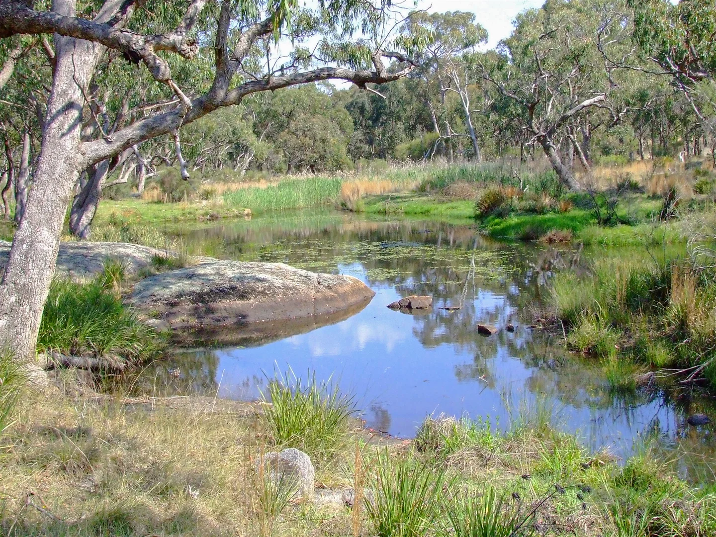 Image 30