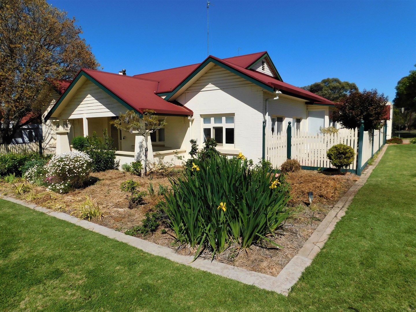 79 West Terrace, Bordertown SA 5268, Image 0