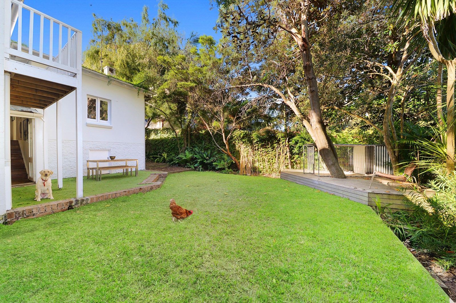 31 Dudley Road, Rose Bay NSW 2029, Image 2