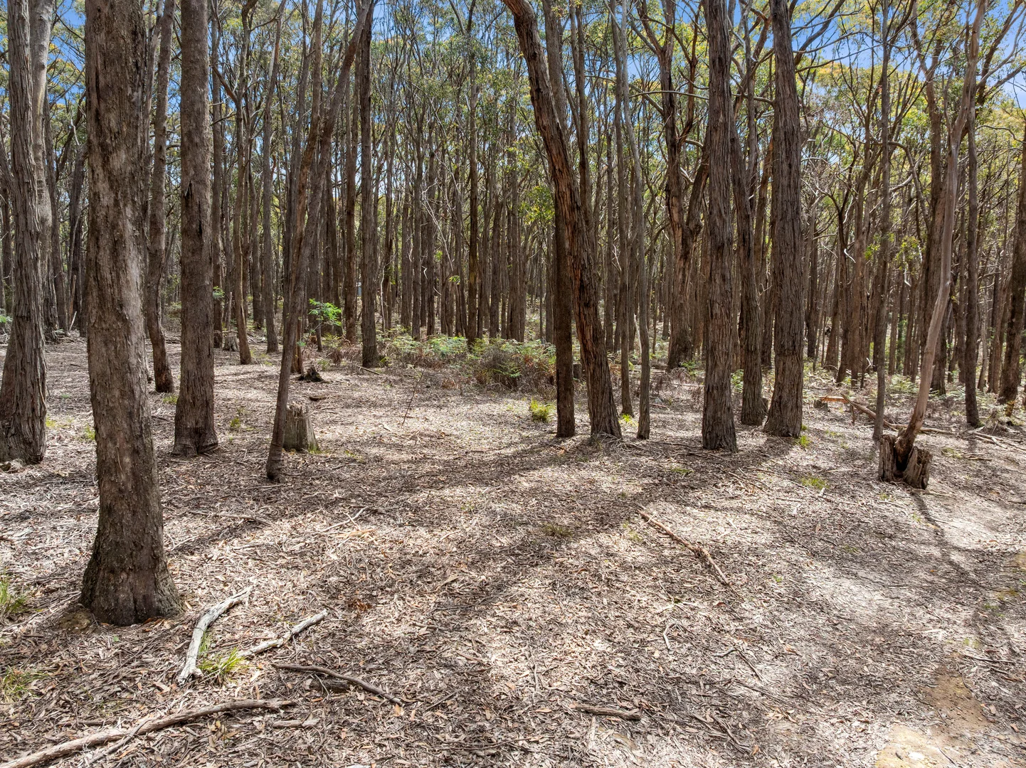 Image 10