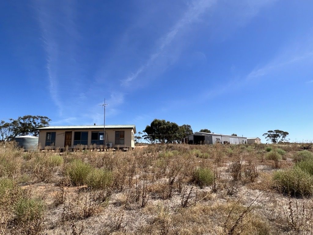 60 KLOSES ROAD, Cambrai SA 5353, Image 0