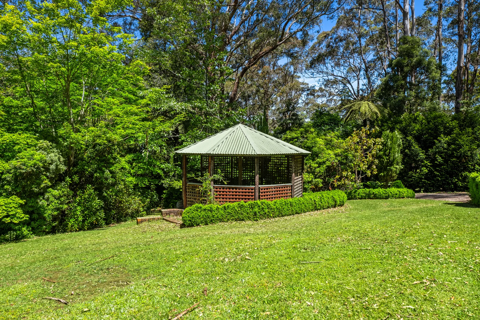 Image 13