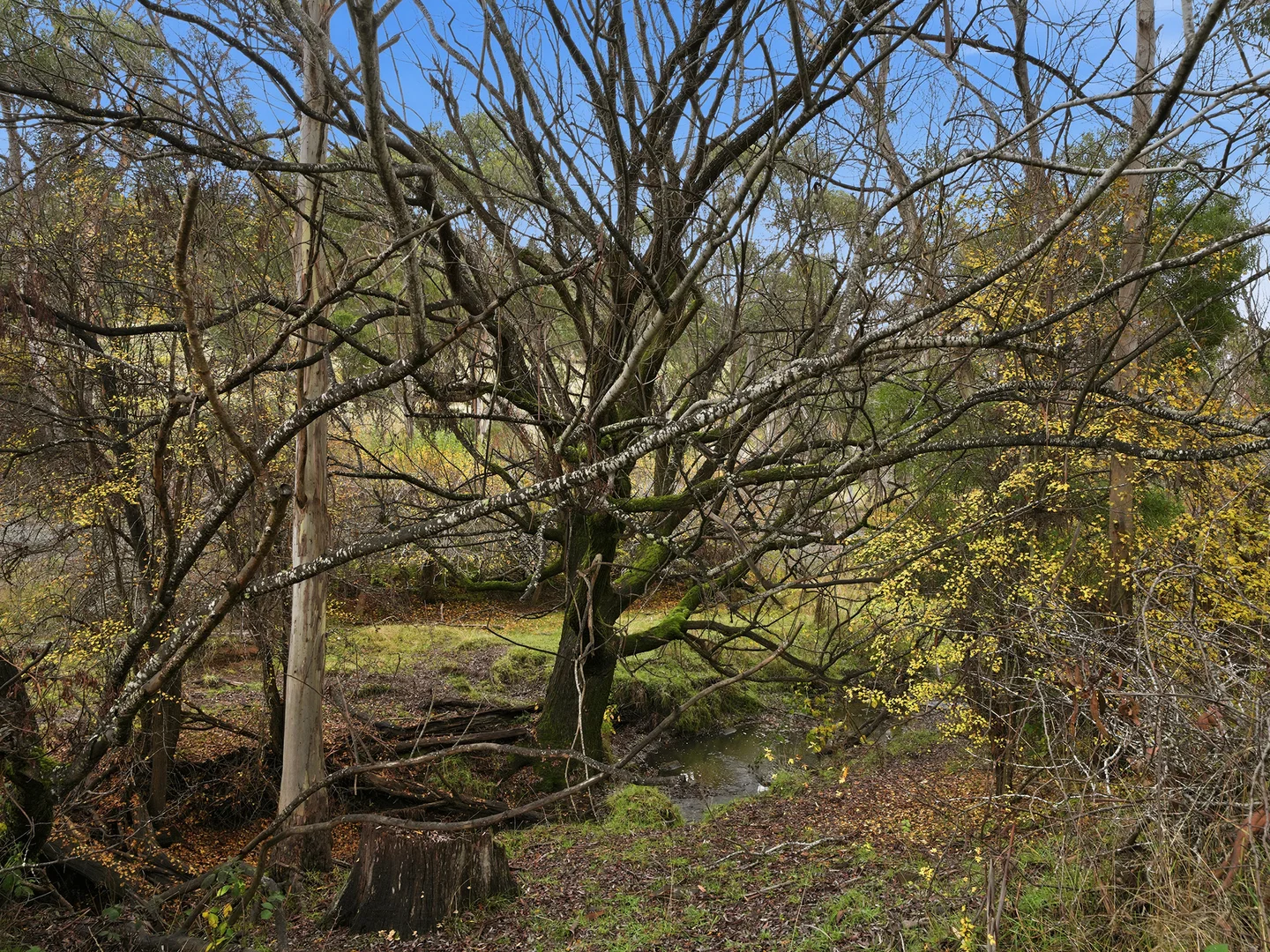 Image 26