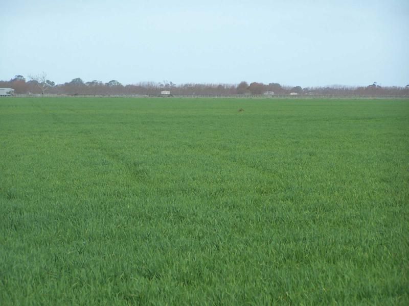 COONAWARRA SA 5263, Image 0