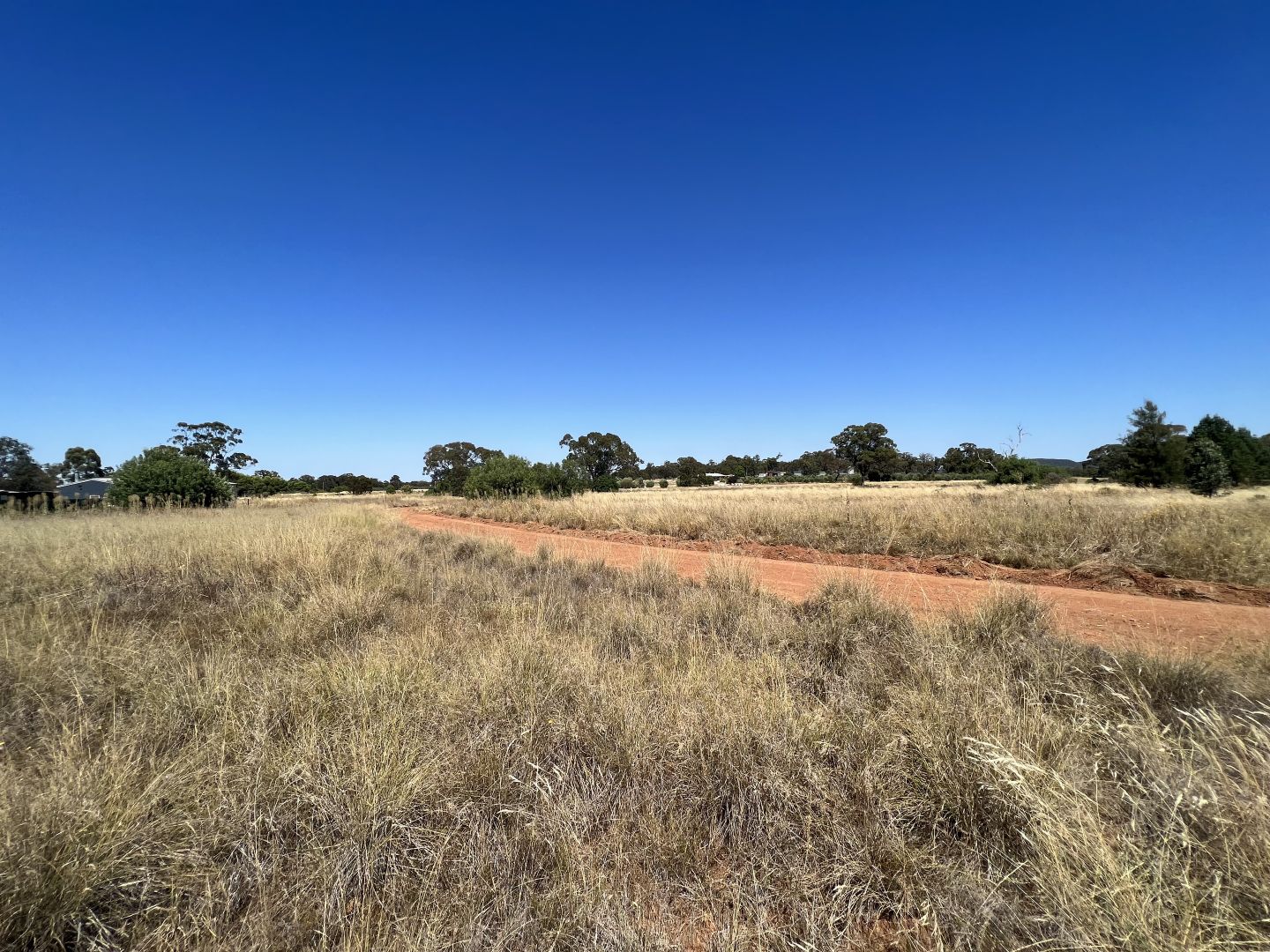 Lot 102 West Street, Bogan Gate NSW 2876 Domain