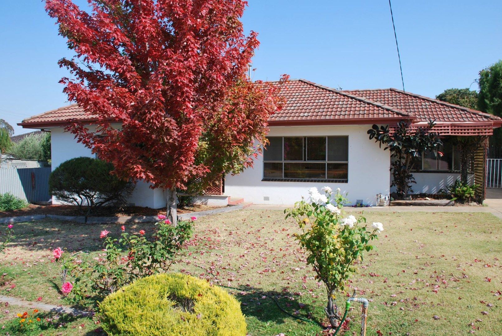 1 Cooray Street, Cobram VIC 3644, Image 0